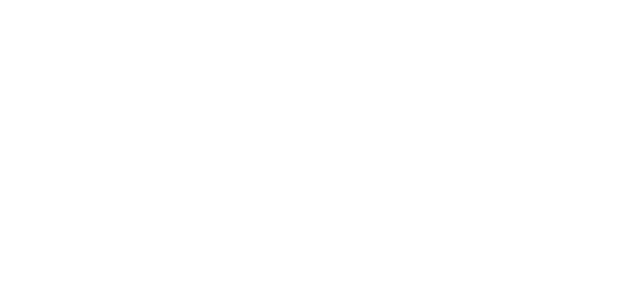 ZCU Logo